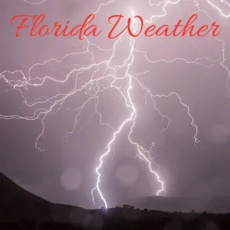 Florida Weather by Protege