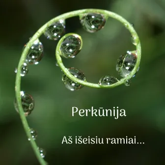 Aš Išeisiu Ramiai by Perkūnija