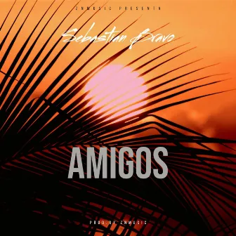 Amigos by Znmusic