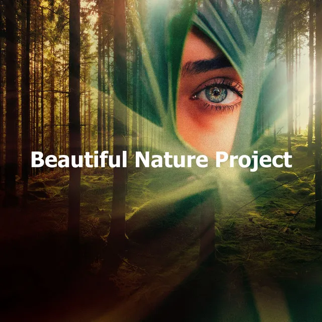 Beautiful Nature Project