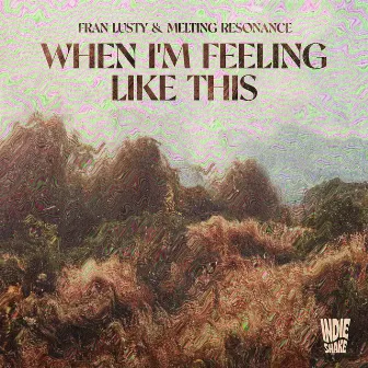 When I'm Feeling Like This by Melting Resonance