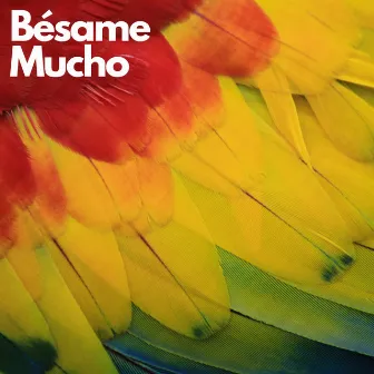 Besame Mucho by Gerry Lopez