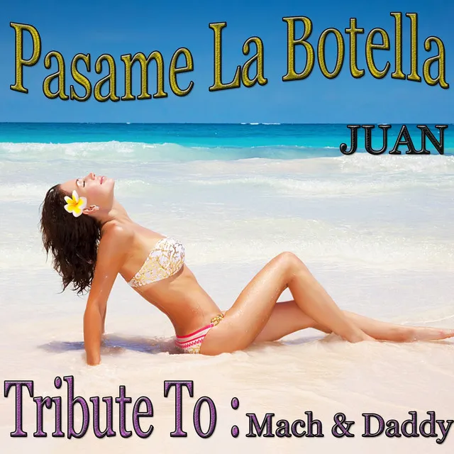 Pasame la Botella - Mix Version