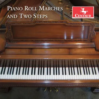 Piano Roll Marches and Two Steps, Vol. 1 by David Dawn