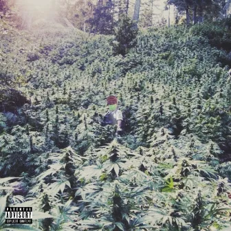 A Stoner's Paradise by $lim