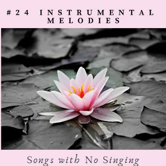 #24 Instrumental Melodies - Songs with No Singing by Djelimady Martins