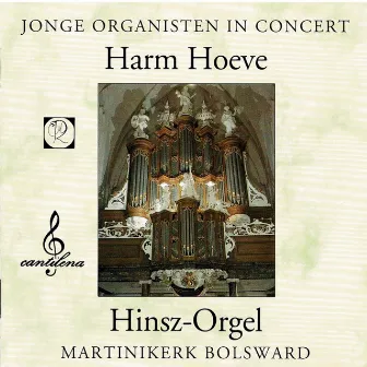 Jonge Organisten in Concert; Harm Hoeve bespeelt de Hinz-orgel van de Martinikerk, Bolswaard by Harm Hoeve