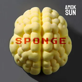 Sponge by Amok Sun