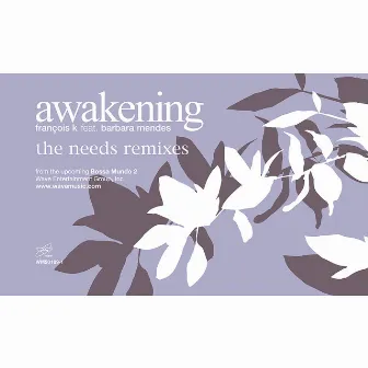 Awakening (feat. Barbara Mendes) [Needs Remixes] by Francois K