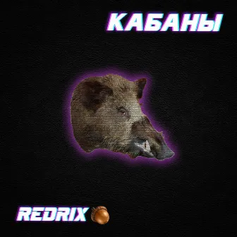 Кабаны by REDRIX