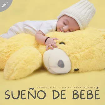 Sueño Del Bebé: Tranquilas Lluvias Para Dormir Vol. 1 by Estudio de sonido de lluvia