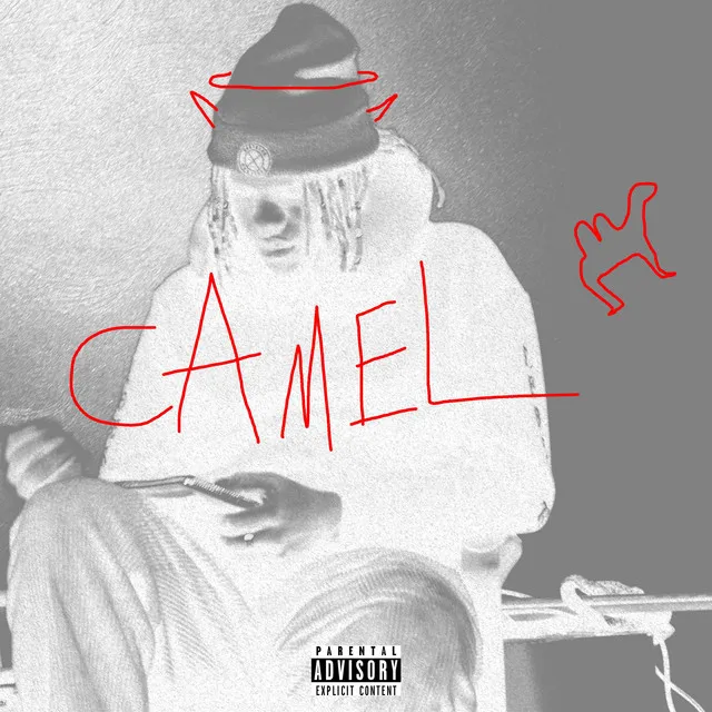 Camel