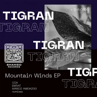 Mountain Winds EP by Tigran