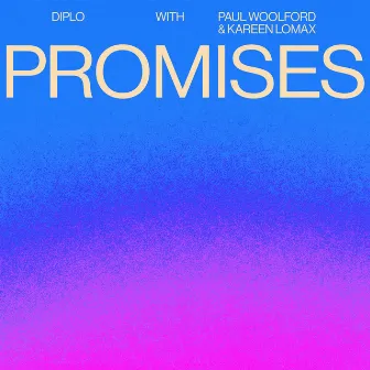 Promises by Paul Woolford