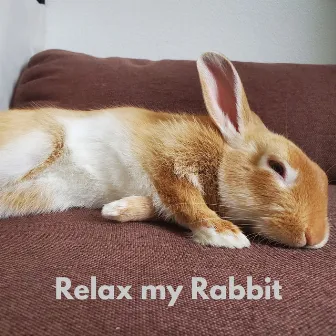 Relay My Rabbit by The Rabbit Relaxer