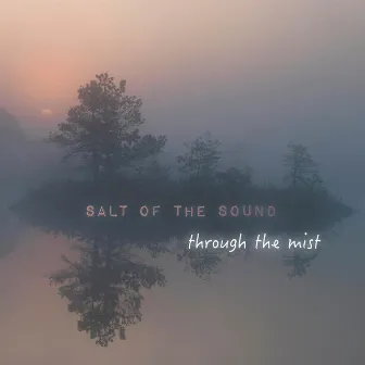 Through the Mist by Salt Of The Sound