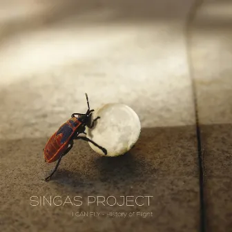 I Can Fly (History of Flight) by Singas Project