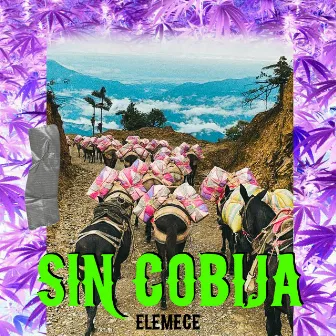 Sin Cobija by Elemece