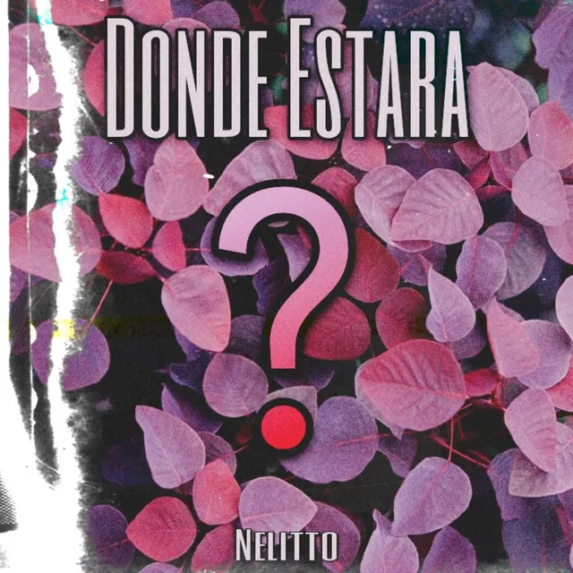 Donde Estara