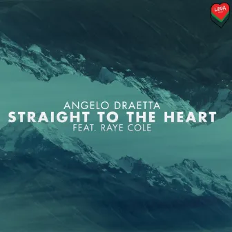 Straight To The Heart by Raye Cole