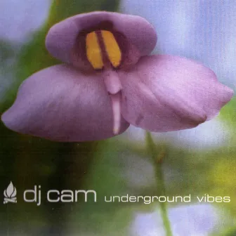 Underground Vibes by DJ Cam