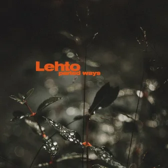 Parted Ways by Lehto