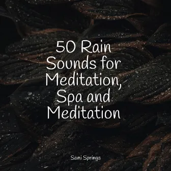 50 Rain Sounds for Meditation, Spa and Meditation by Rain For Deep Sleep