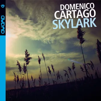 Skylark by Domenico Cartago