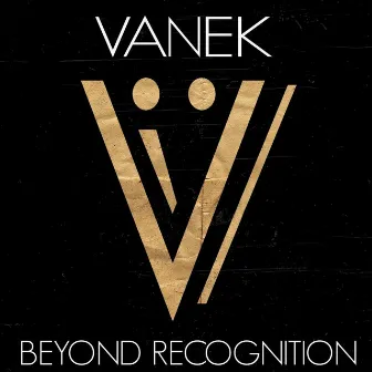 Beyond Recognition by Vanek