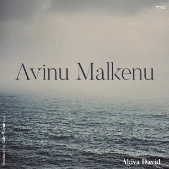 Avinu Malkenu by Akiva David