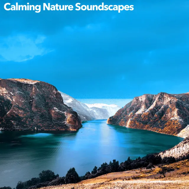 Calming Nature Soundscapes