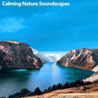 Calming Nature Soundscapes by Calm Bird Sounds