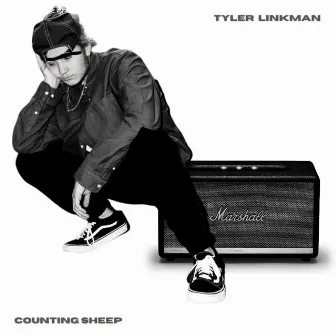 Counting Sheep by Tyler Linkman