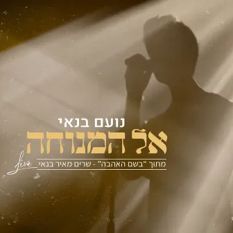 אל המנוחה (מתוך בשם האהבה - שרים מאיר בנאי) [Live] by Noam Banai