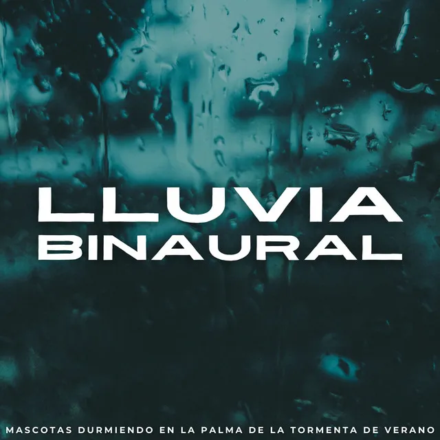 Lluvia Binaural: Mascotas Durmiendo En La Palma De La Tormenta De Verano