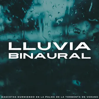 Lluvia Binaural: Mascotas Durmiendo En La Palma De La Tormenta De Verano by Ricky sonido de lluvia