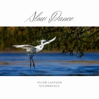 Slow Dance by Peter Lainson