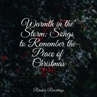 Warmth in the Storm: Songs to Remember the Peace of Christmas by Christmas Memories