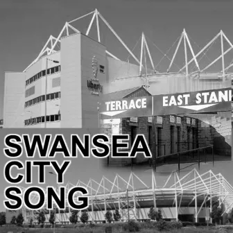 Swansea City Song by Padraig Lalor