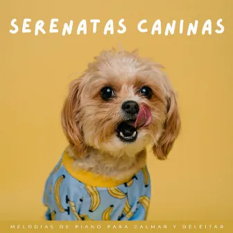 Serenatas Caninas: Melodías De Piano Para Calmar Y Deleitar by Perros dormidos