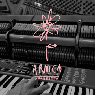 Arnica Apresenta by Heart-Shaped Tracks