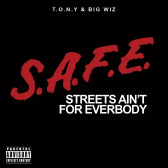 S.A.F.E. by Big Wiz