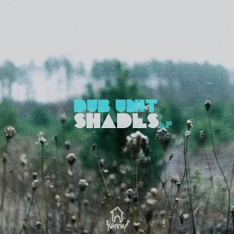 Shades by DUB UNIT