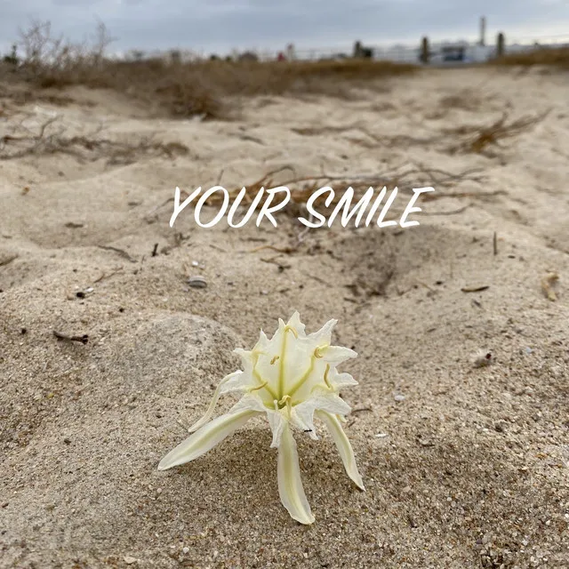 Your Smile