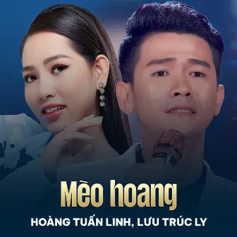 Mèo Hoang by Hoàng Tuấn Linh