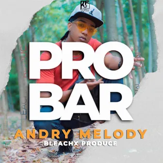 Probar by Andry Melody