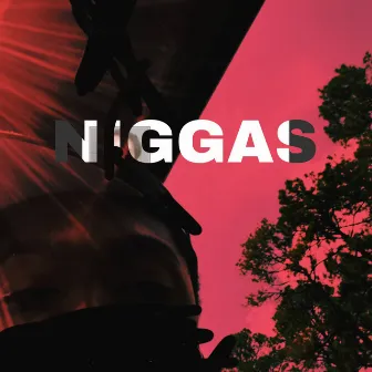 NIGGAS by MTSW