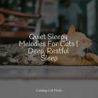 Quiet Sleepy Melodies For Cats | Deep, Restful Sleep by Music for Relaxing Cats