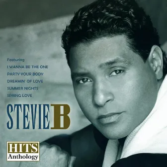 Hits Anthology, Vol. 1 by Stevie B