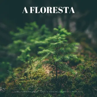 A Floresta: A Melhor Música Da Floresta Para Relaxamento Profundo by Meditação Experiência Musical